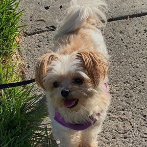 Meet your Posher, Sandra